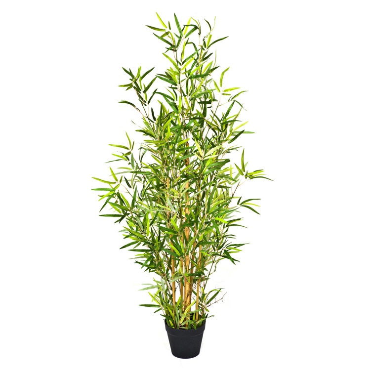 The Seasonal Aisle Artificial Bamboo Tree in Black Pot 130cm Wayfair